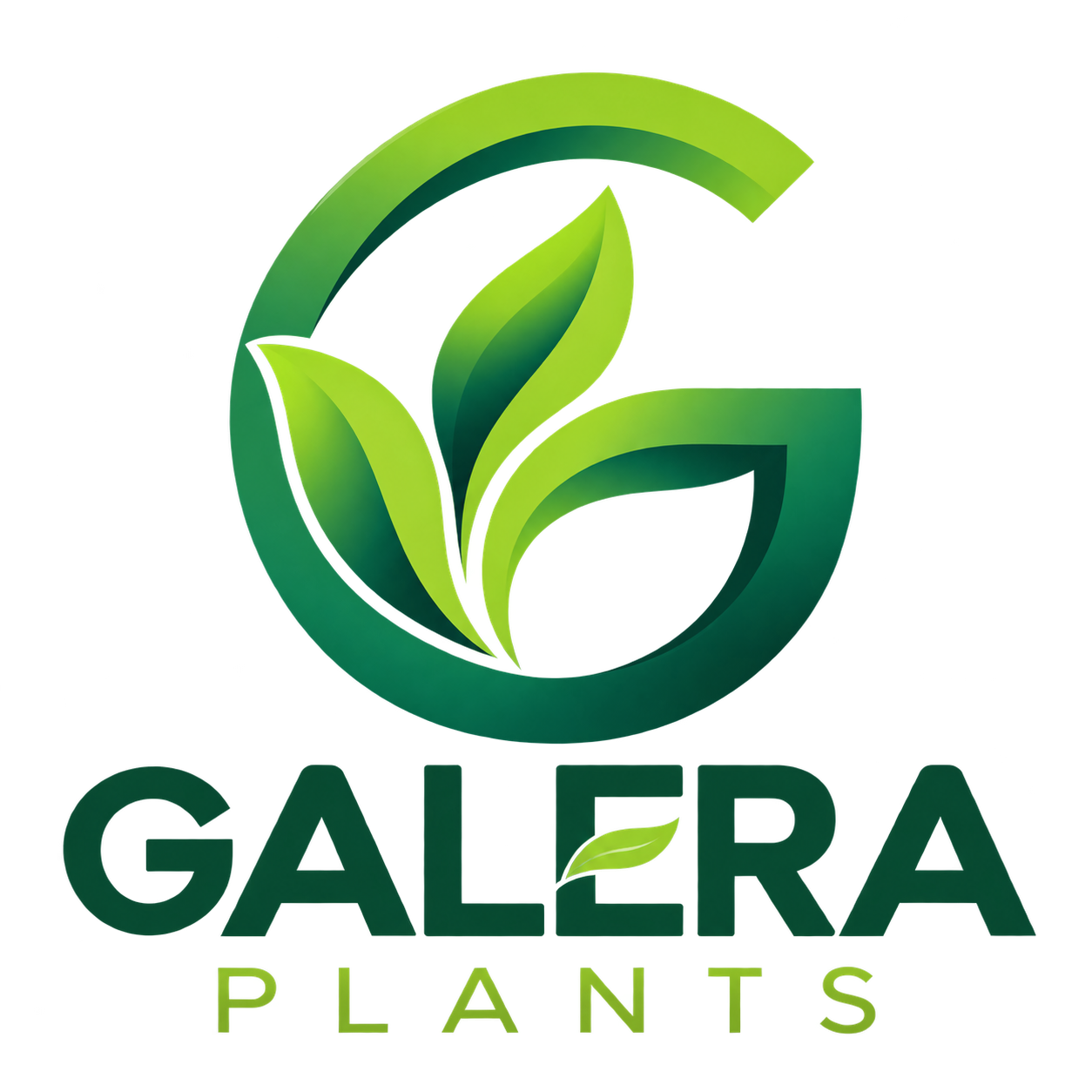 Galera Plants